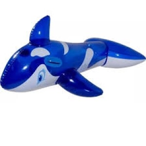 BOIA BALEIA TRANSPARENTE